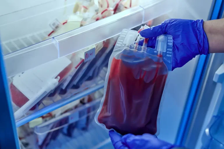 ciclo do sangue