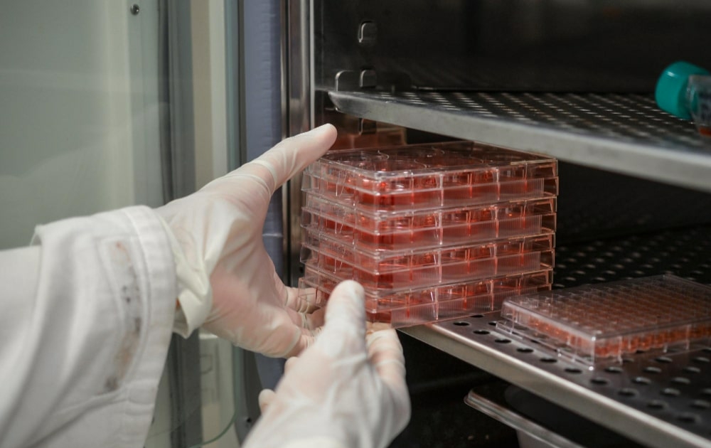 RDC 978/2025 da ANVISA