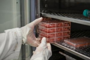 RDC 978/2025 da ANVISA: Como a Solução Sensorweb Apoia Laboratórios no Monitoramento de Temperatura e Umidade