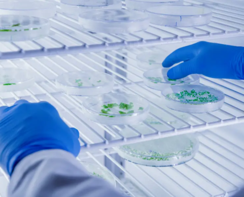 Monitoramento de temperatura na saúde