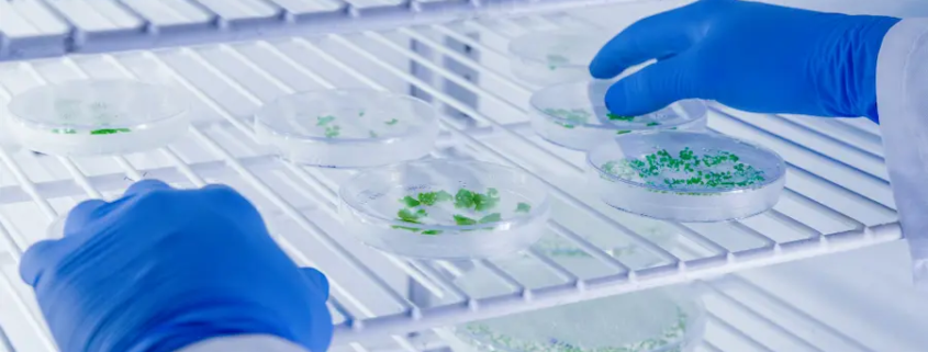 Monitoramento de temperatura na saúde