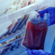 ciclo do sangue