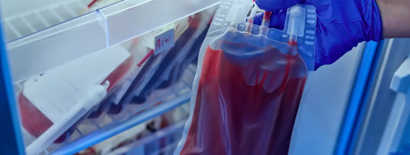 ciclo do sangue