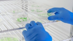 Monitoramento de temperatura em tempo real: garantia de qualidade em pesquisa clínica